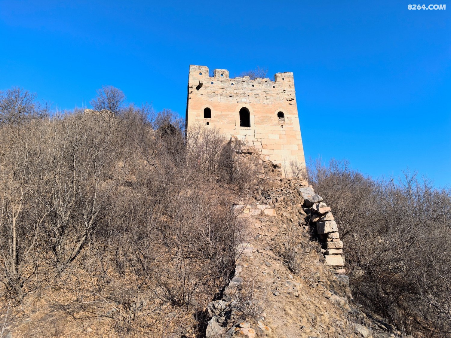 IMG_20260315_075752.jpg