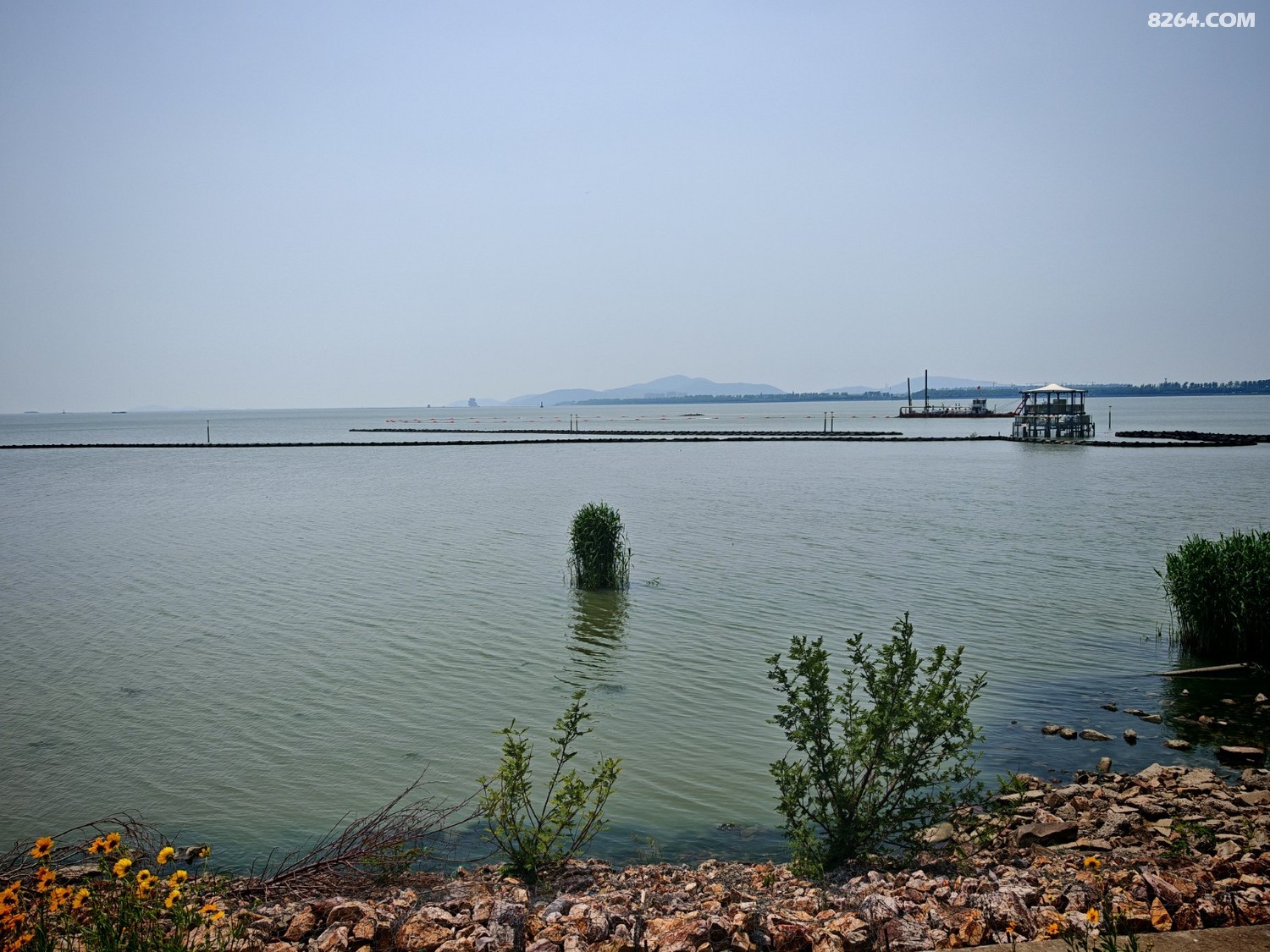 IMG_20250428_114253.jpg