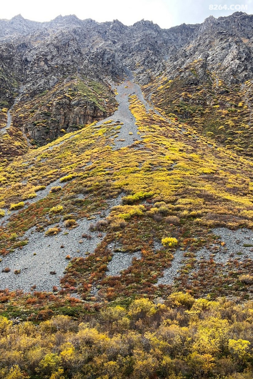 1420146id1503mn0c727hv - 徒步登山 穿越攀岩 雪山步道 户外路线 在野 去没有天花板的地方