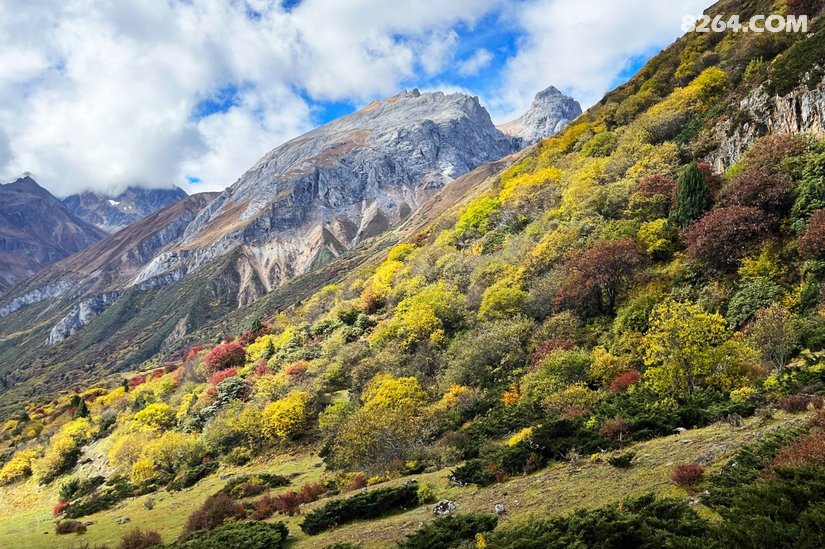 080456ggwgloytgusjjubk - 徒步登山 穿越攀岩 雪山步道 户外路线 在野 去没有天花板的地方