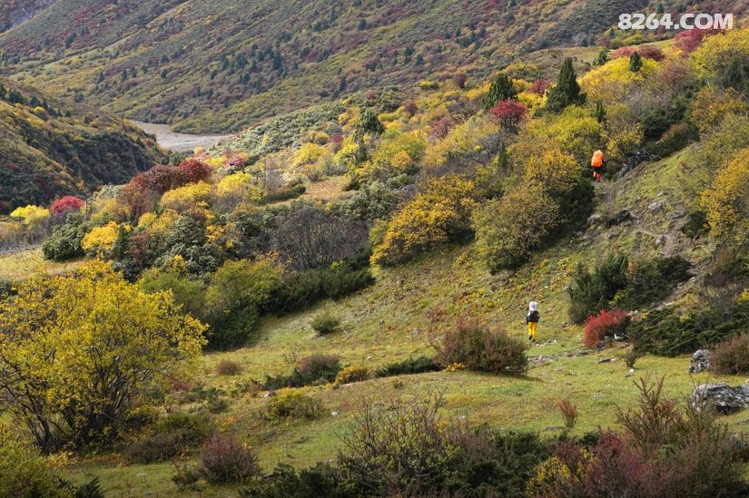 080511z6bk8zsjtsko6ptw - 徒步登山 穿越攀岩 雪山步道 户外路线 在野 去没有天花板的地方