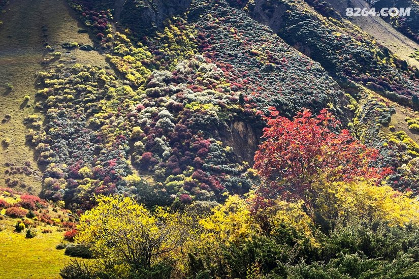 08055602jh2efrxk7nmf4h - 徒步登山 穿越攀岩 雪山步道 户外路线 在野 去没有天花板的地方