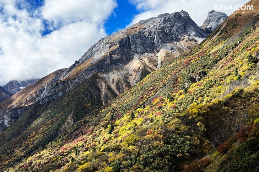 080602thc7bjoinsxa1zhe - 徒步登山 穿越攀岩 雪山步道 户外路线 在野 去没有天花板的地方