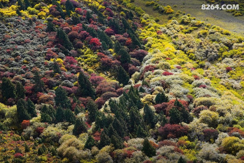080649my8dfjqer1rk01tv - 徒步登山 穿越攀岩 雪山步道 户外路线 在野 去没有天花板的地方