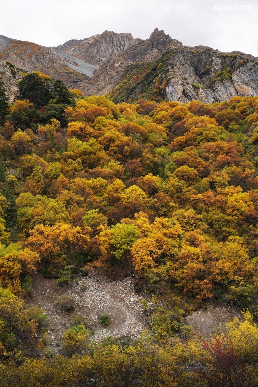 082908zhc8pf0qena32cm3 - 徒步登山 穿越攀岩 雪山步道 户外路线 在野 去没有天花板的地方