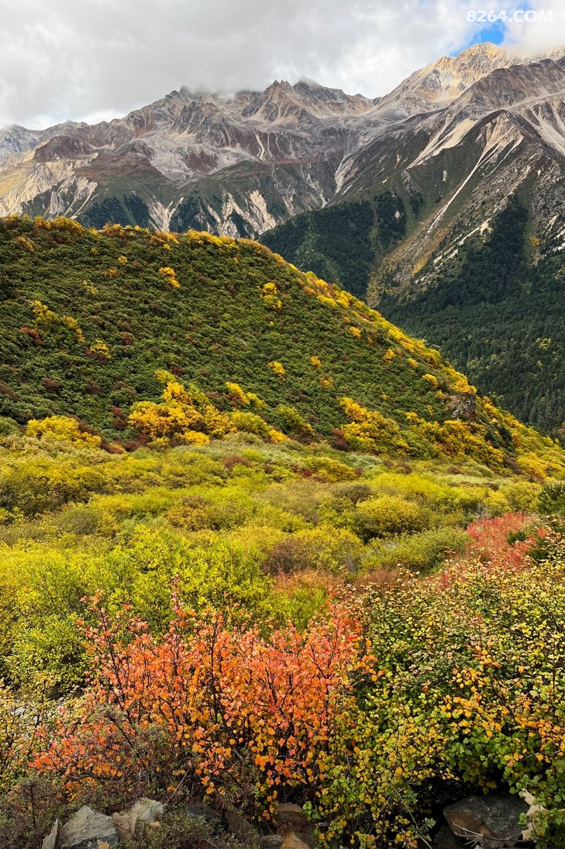 09082263ii8dqewaeb0n6e - 徒步登山 穿越攀岩 雪山步道 户外路线 在野 去没有天花板的地方
