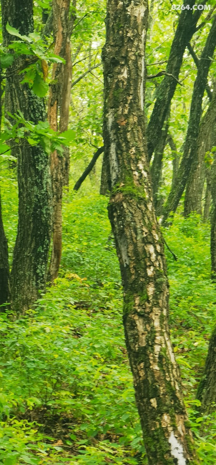 IMG_20260725_120018.jpg