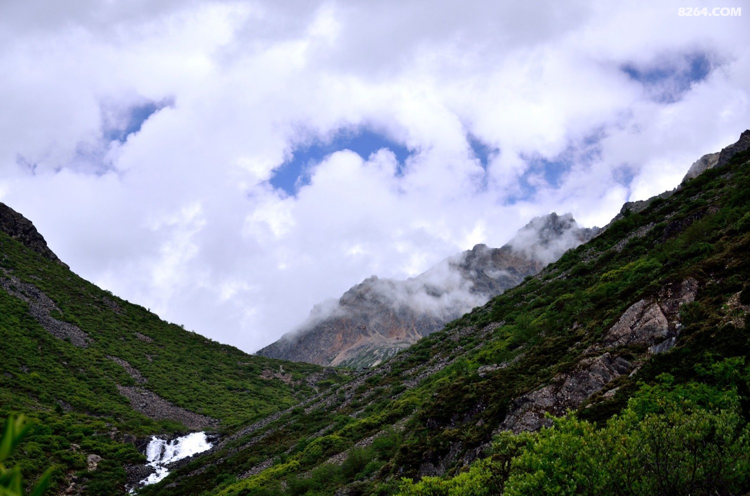 _DSC0734.JPG