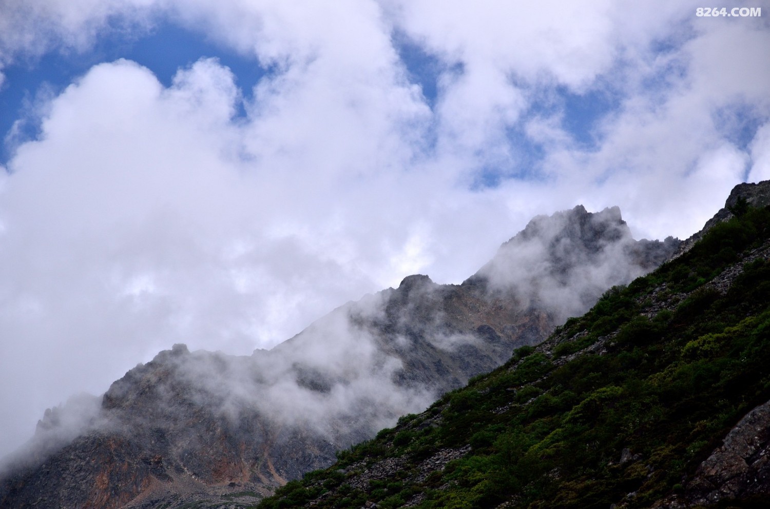 _DSC0735.JPG