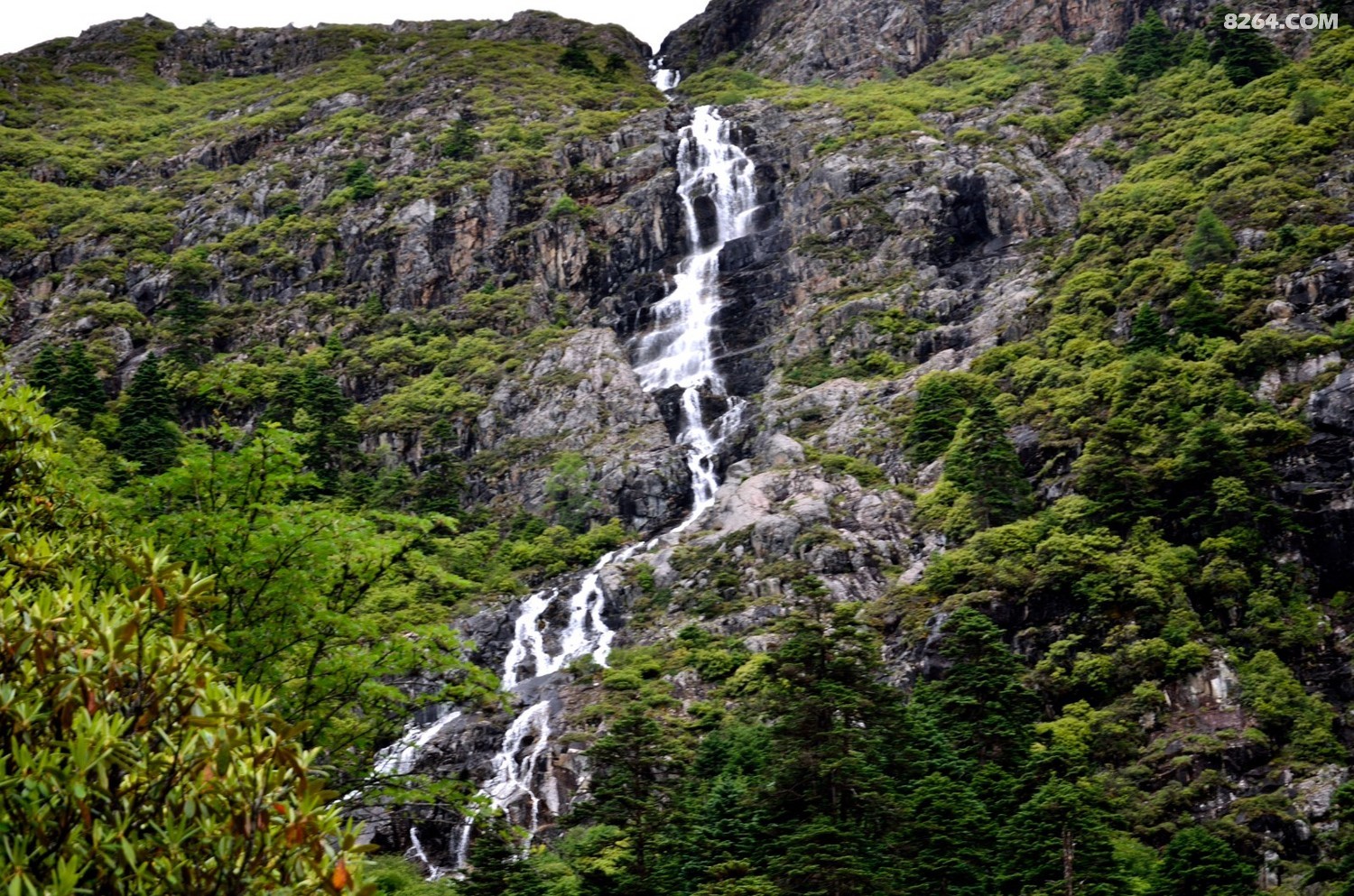 _DSC0737.JPG