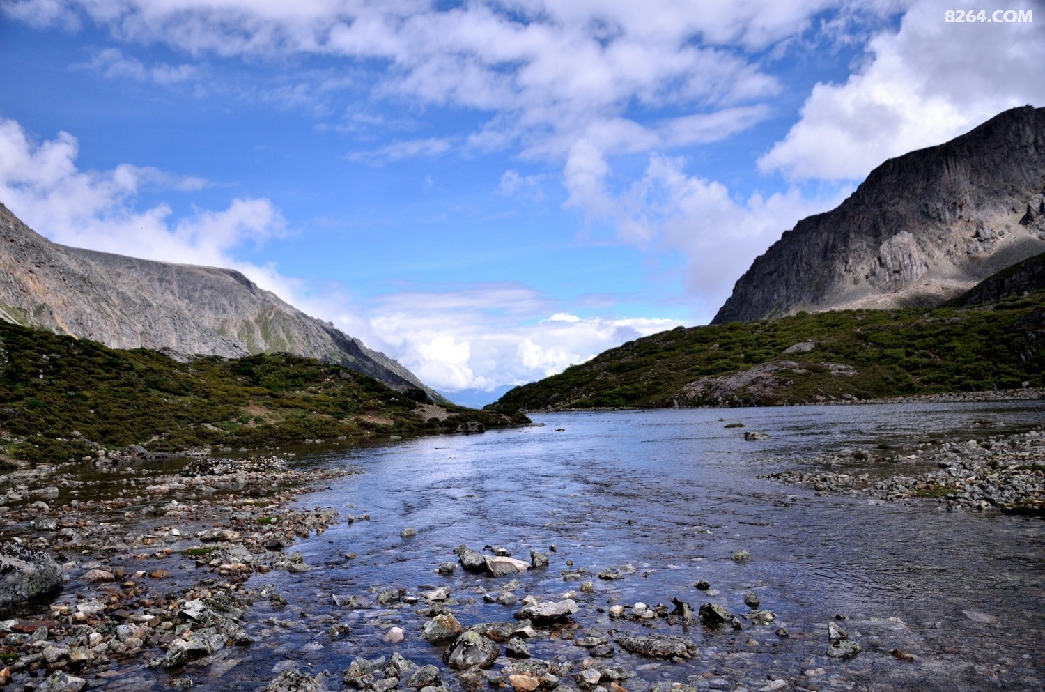 _DSC0772.JPG