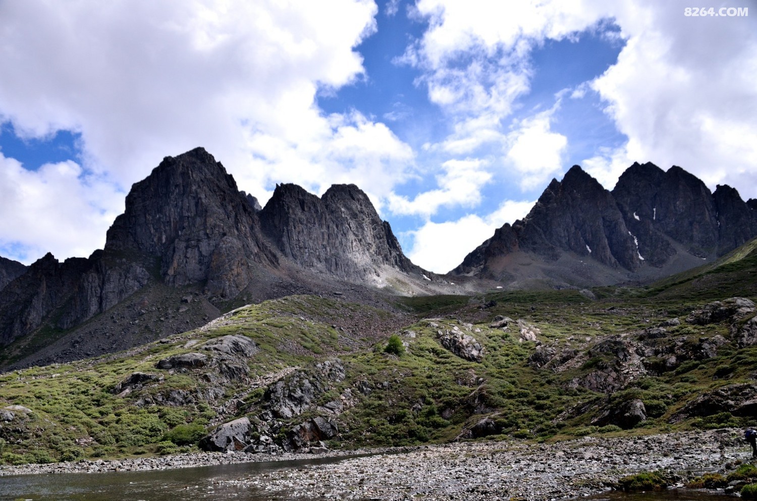 _DSC0774.JPG