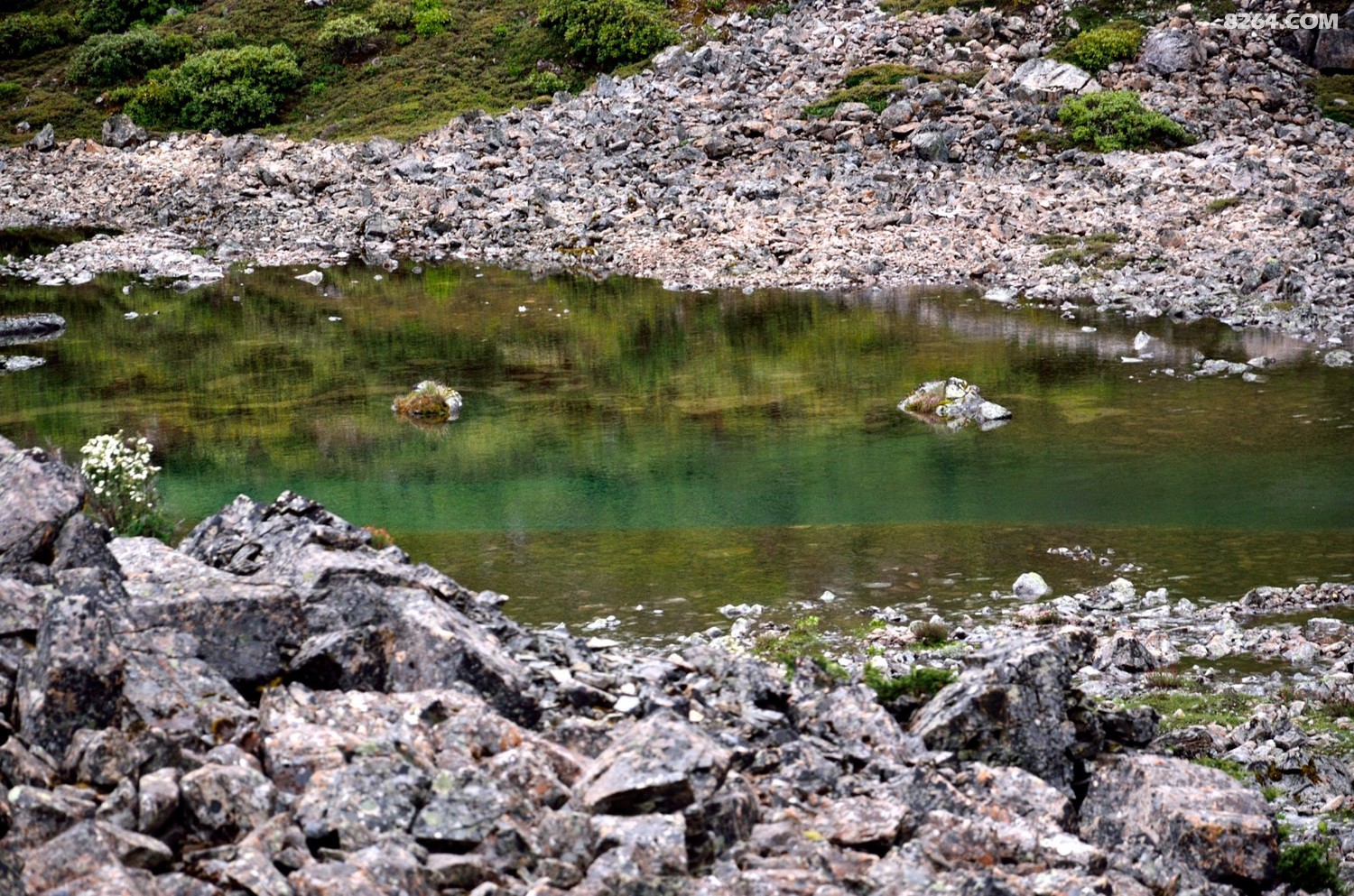 _DSC0803.JPG