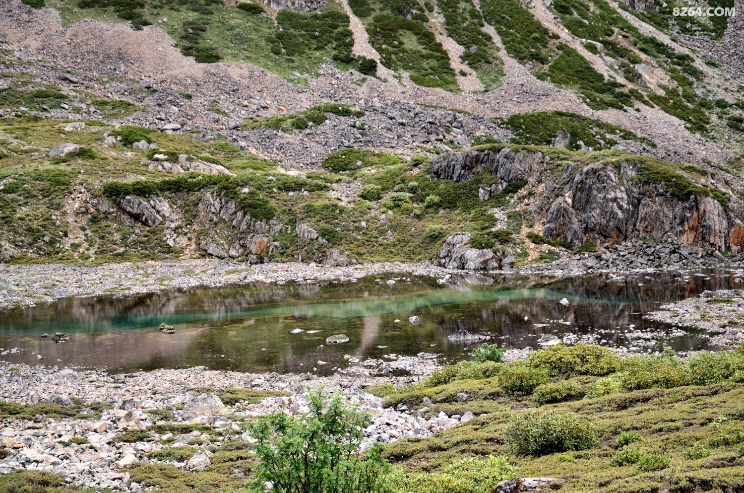 _DSC0810.JPG
