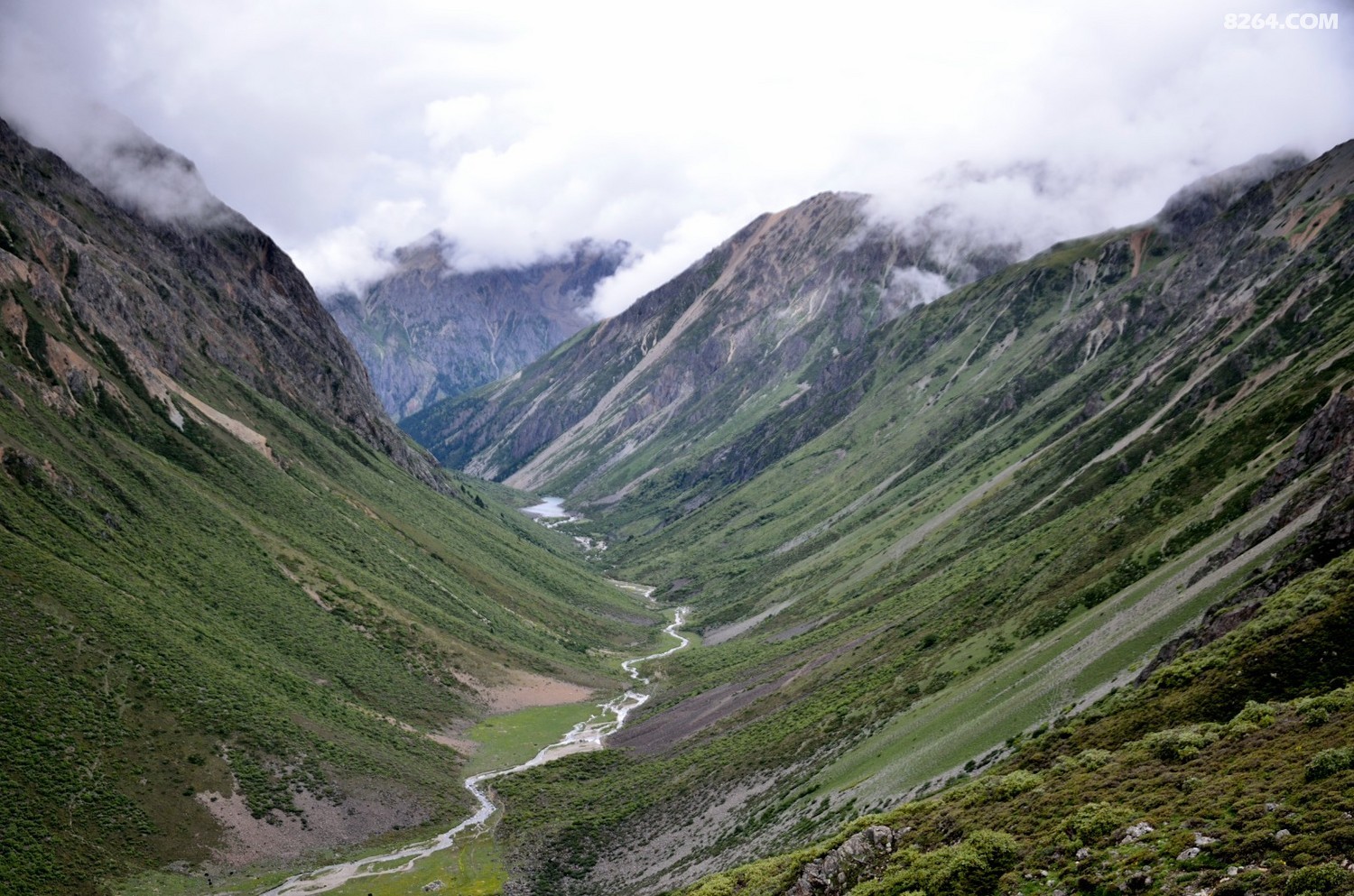 _DSC0884.JPG