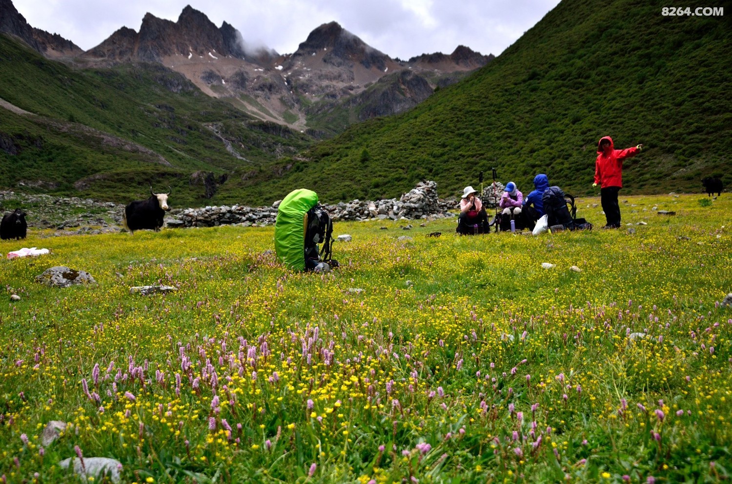 _DSC0890.JPG