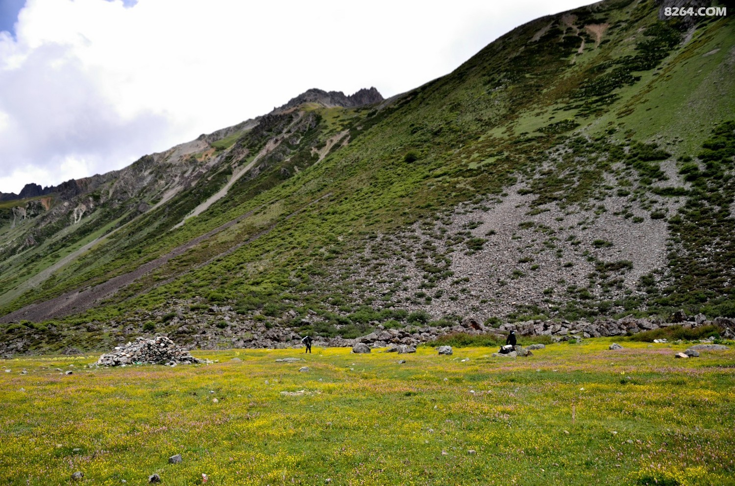 _DSC0896.JPG