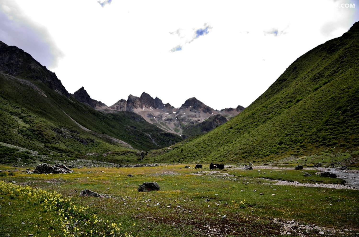 _DSC0897.JPG