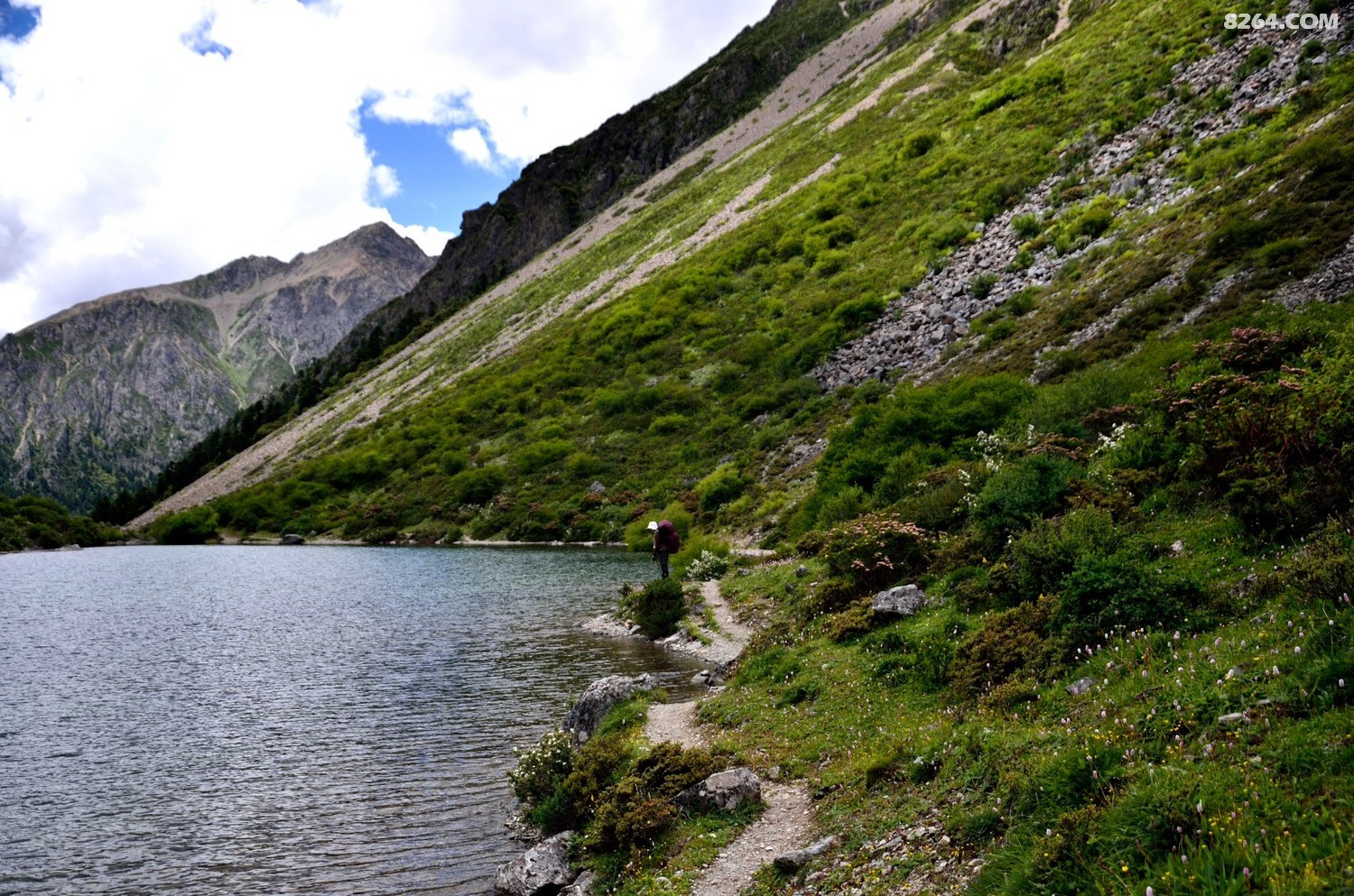 _DSC0912.JPG