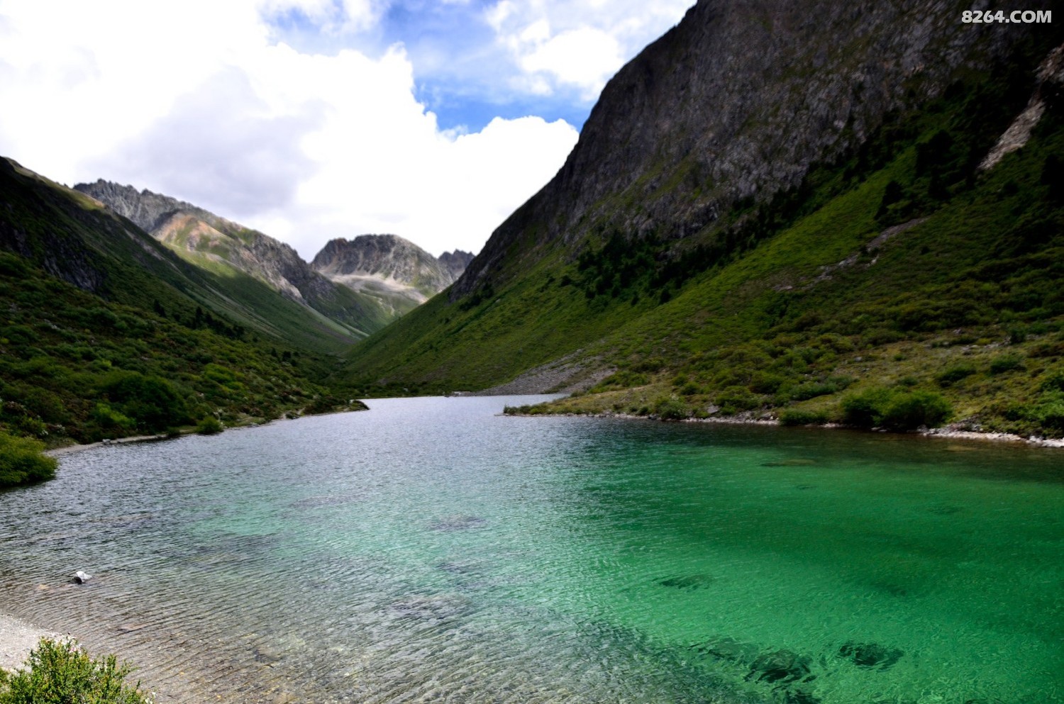_DSC0915.JPG