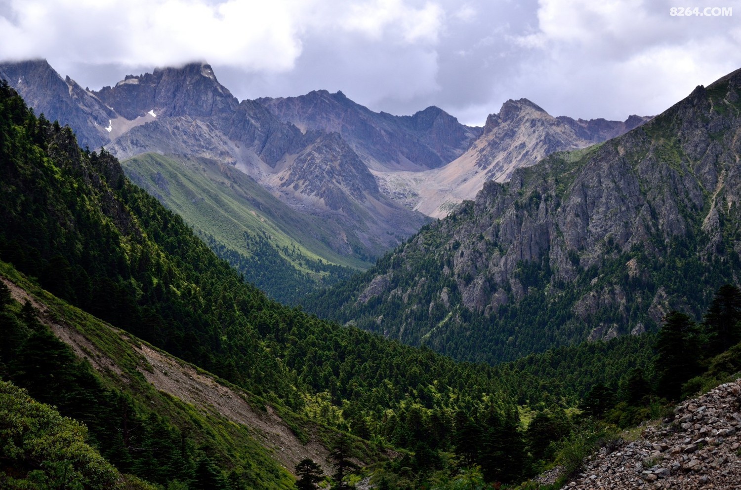 _DSC0921.JPG
