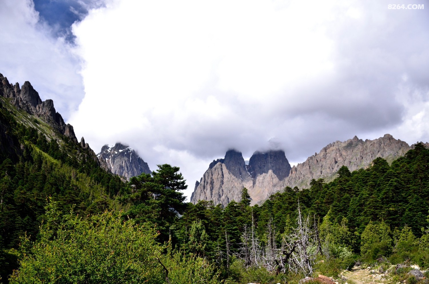 _DSC0923.JPG