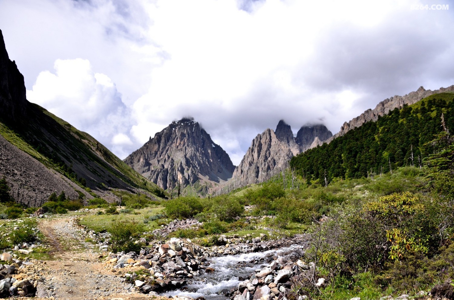 _DSC0931.JPG