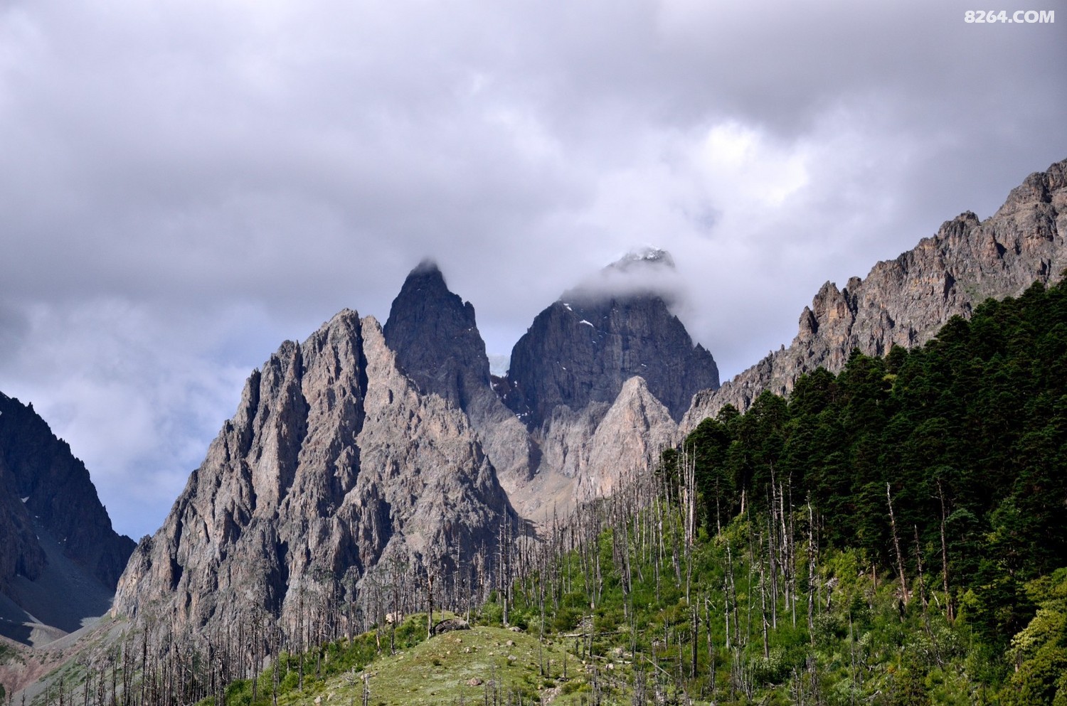 _DSC0937.JPG