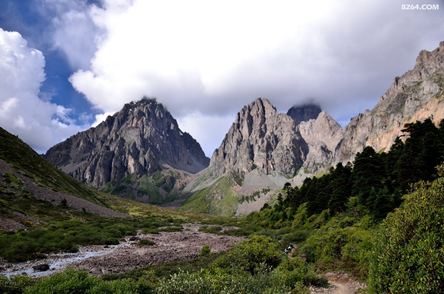 _DSC0939.JPG