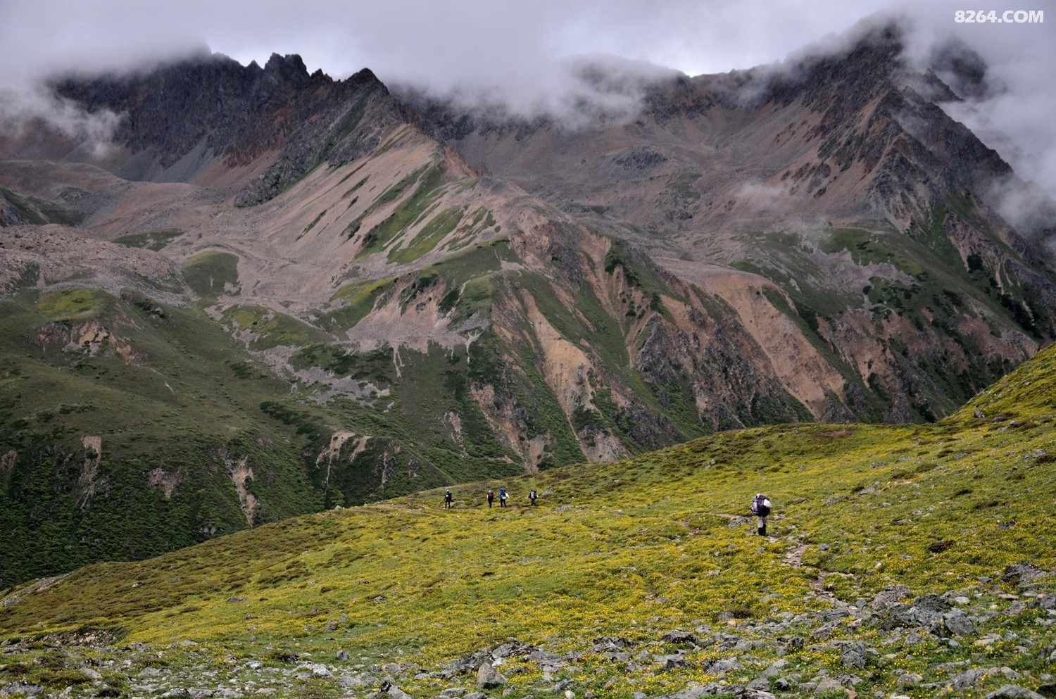 _DSC0880.JPG