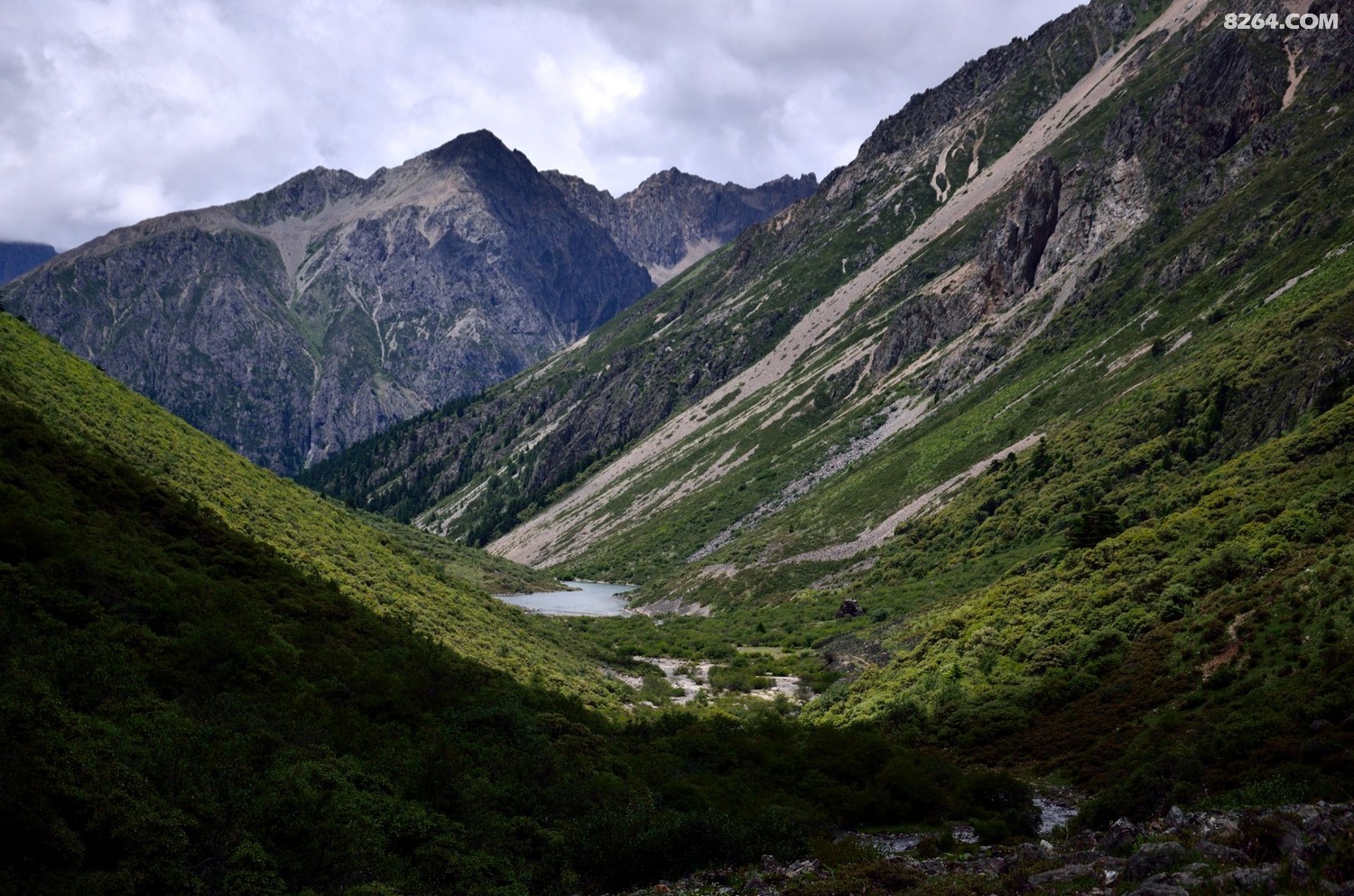_DSC0902.JPG