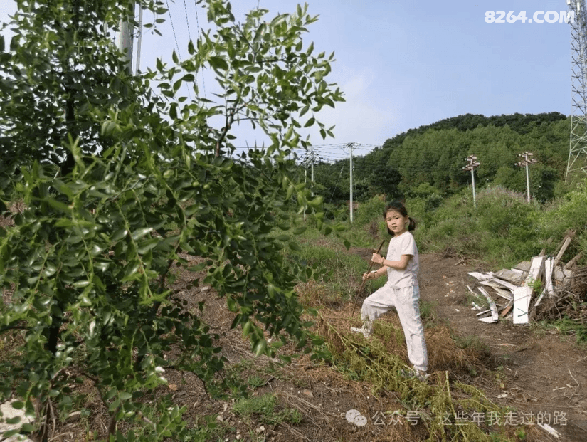 084657kl1aak3ufgj0hr2a - 旅行杂谈 文化历史 民俗人文 交通贴士 在野 去没有天花板的地方