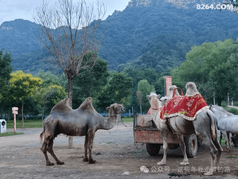 0849035eset9vlovrpqugx - 旅行杂谈 文化历史 民俗人文 交通贴士 在野 去没有天花板的地方