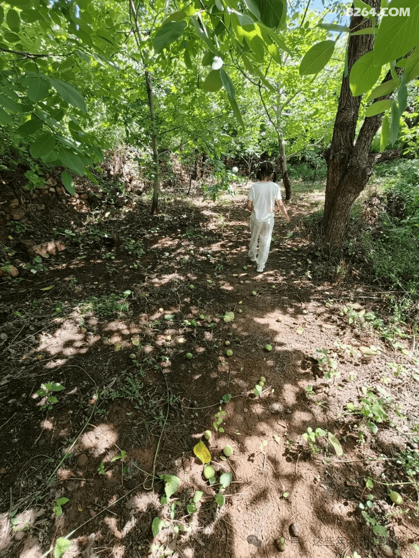 08550206kqrgrqgrxg1i9o - 旅行杂谈 文化历史 民俗人文 交通贴士 在野 去没有天花板的地方