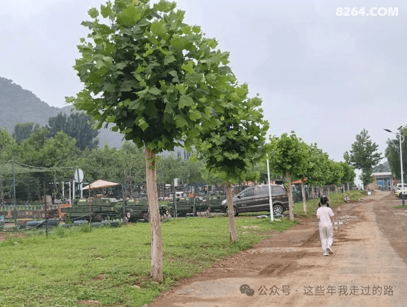 083541o8i5q9gtq1b6ywel - 旅行杂谈 文化历史 民俗人文 交通贴士 在野 去没有天花板的地方