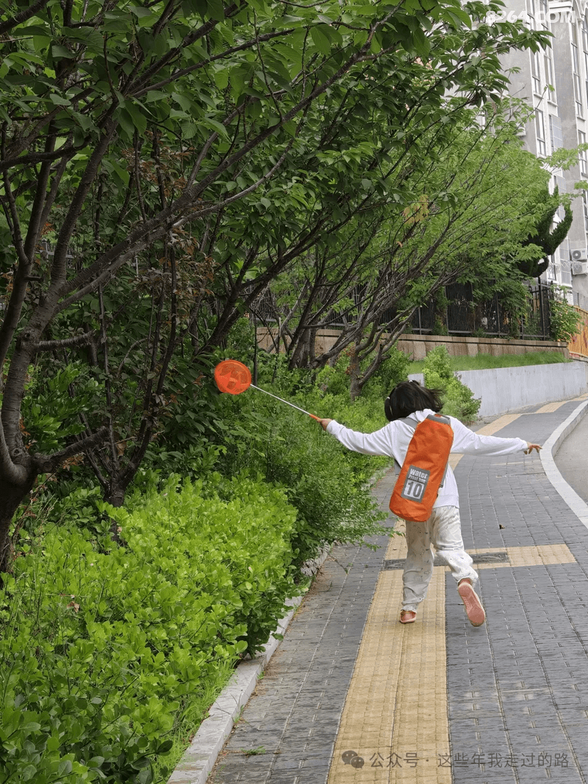 0730392nrumy7bt3yfysfq - 旅行杂谈 文化历史 民俗人文 交通贴士 在野 去没有天花板的地方