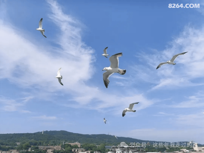 082751zjw2tf3d1q9x9cnt - 旅行杂谈 文化历史 民俗人文 交通贴士 在野 去没有天花板的地方