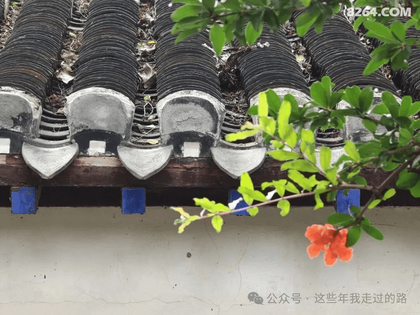 084328h1gsh8ehxyh3li7m - 旅行杂谈 文化历史 民俗人文 交通贴士 在野 去没有天花板的地方