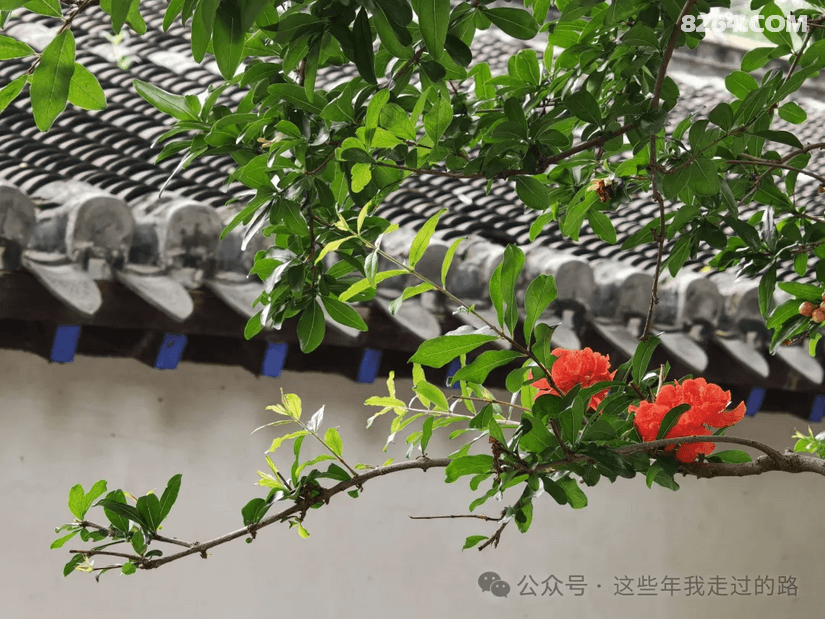0843310mjq3uc2pq52bn6b - 旅行杂谈 文化历史 民俗人文 交通贴士 在野 去没有天花板的地方