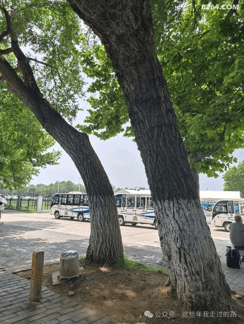 084338uu0tqa9ajnho145p - 旅行杂谈 文化历史 民俗人文 交通贴士 在野 去没有天花板的地方