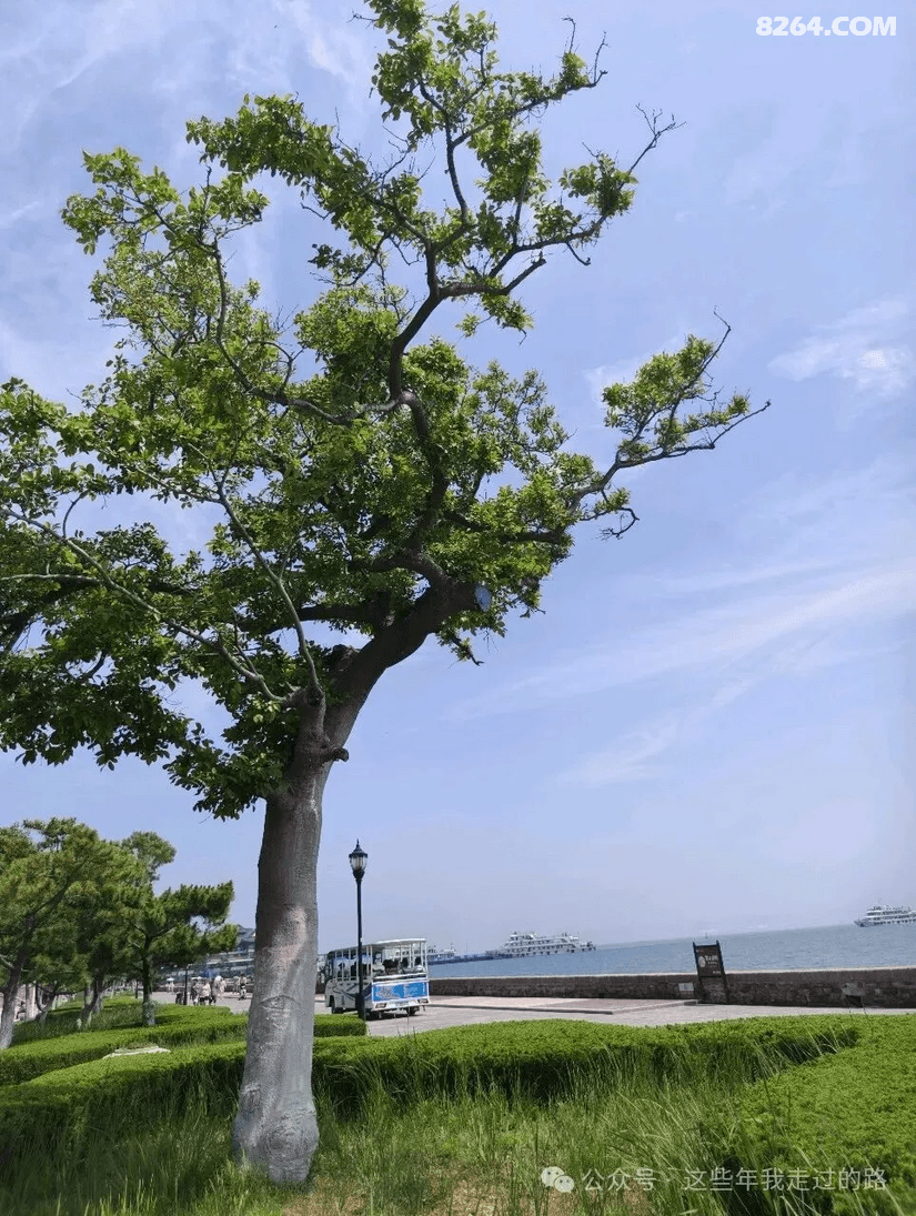 084343svtcr128e3oouhv5 - 旅行杂谈 文化历史 民俗人文 交通贴士 在野 去没有天花板的地方