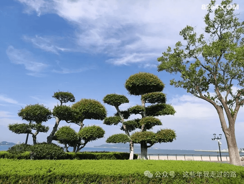 090847d5i7hdr7tdnqo46z - 旅行杂谈 文化历史 民俗人文 交通贴士 在野 去没有天花板的地方