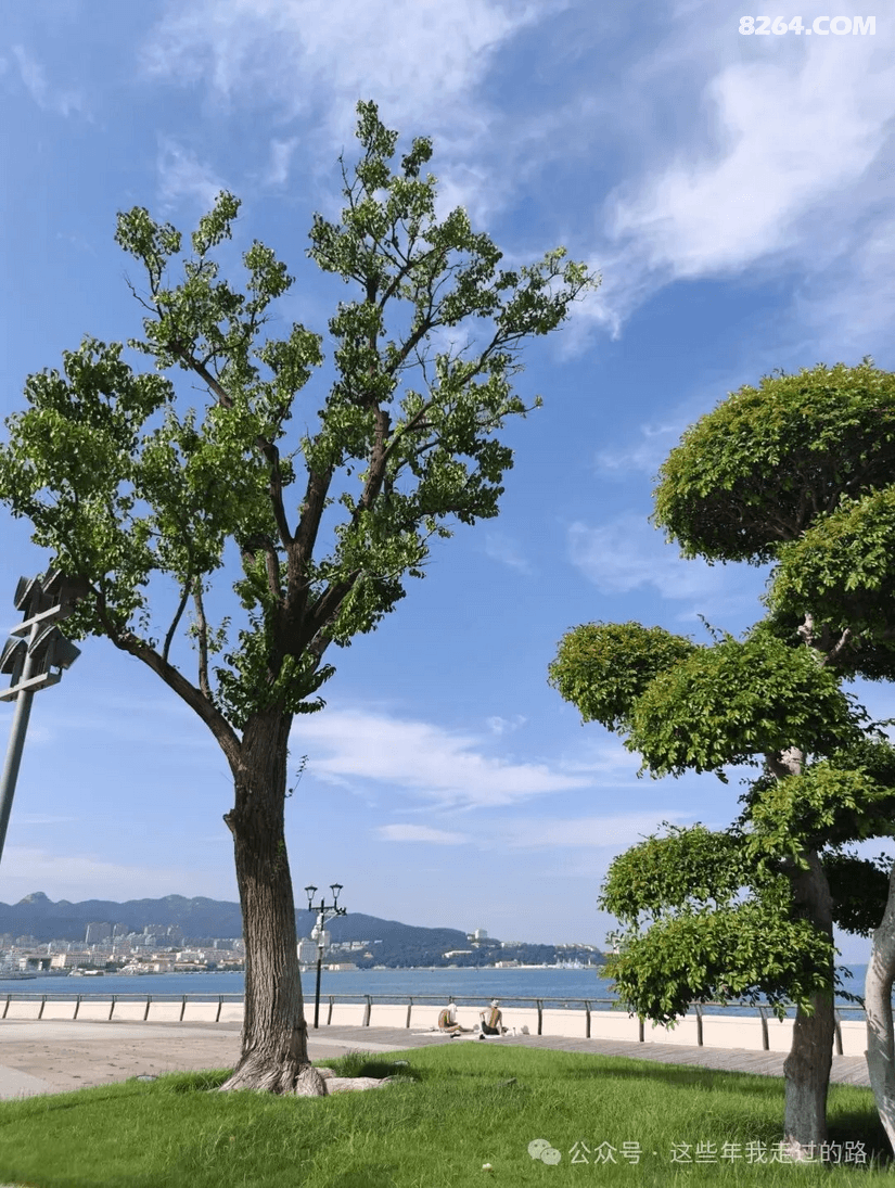 090851gsjx7nwvjnjxzwgd - 旅行杂谈 文化历史 民俗人文 交通贴士 在野 去没有天花板的地方