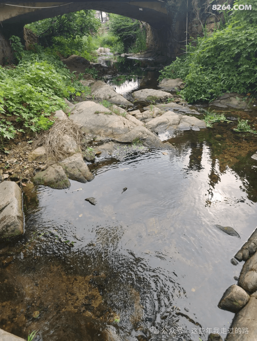 125702sf3m1vgayor7nvfv - 旅行杂谈 文化历史 民俗人文 交通贴士 在野 去没有天花板的地方