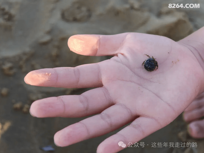 133350zck6sdnc4flku6aw - 旅行杂谈 文化历史 民俗人文 交通贴士 在野 去没有天花板的地方