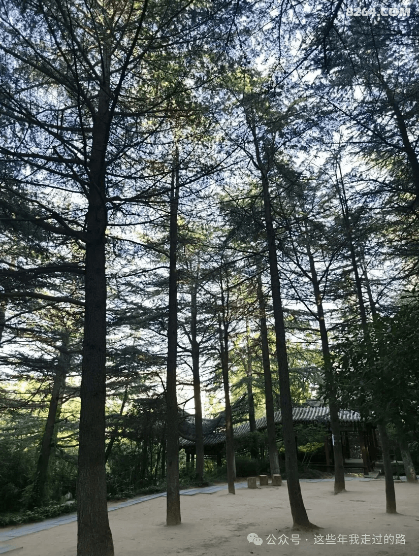 093857xc12ado2b79khctv - 旅行杂谈 文化历史 民俗人文 交通贴士 在野 去没有天花板的地方