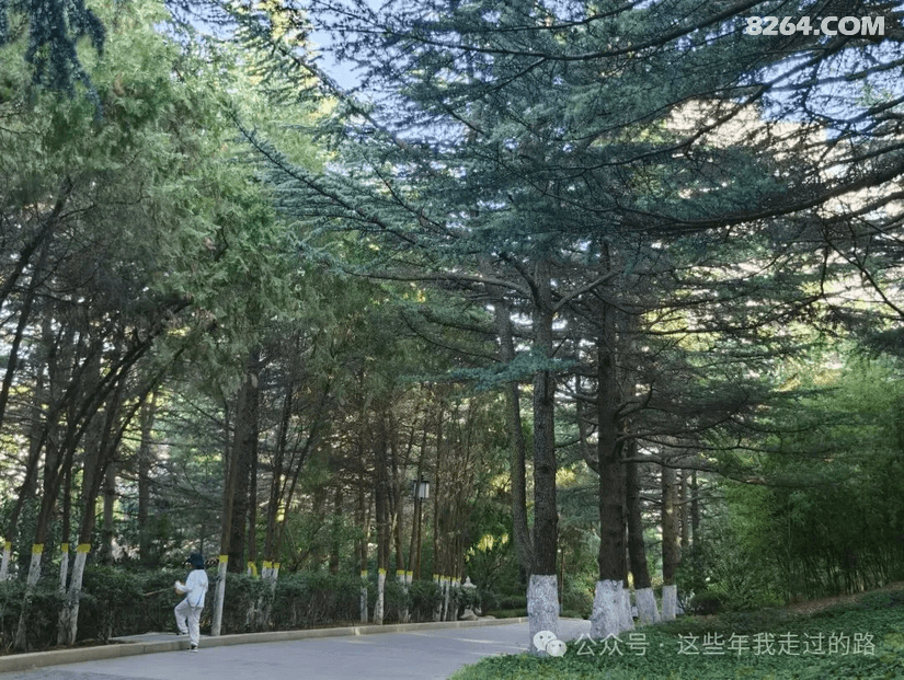 093910bioxjspqa9bjk758 - 旅行杂谈 文化历史 民俗人文 交通贴士 在野 去没有天花板的地方
