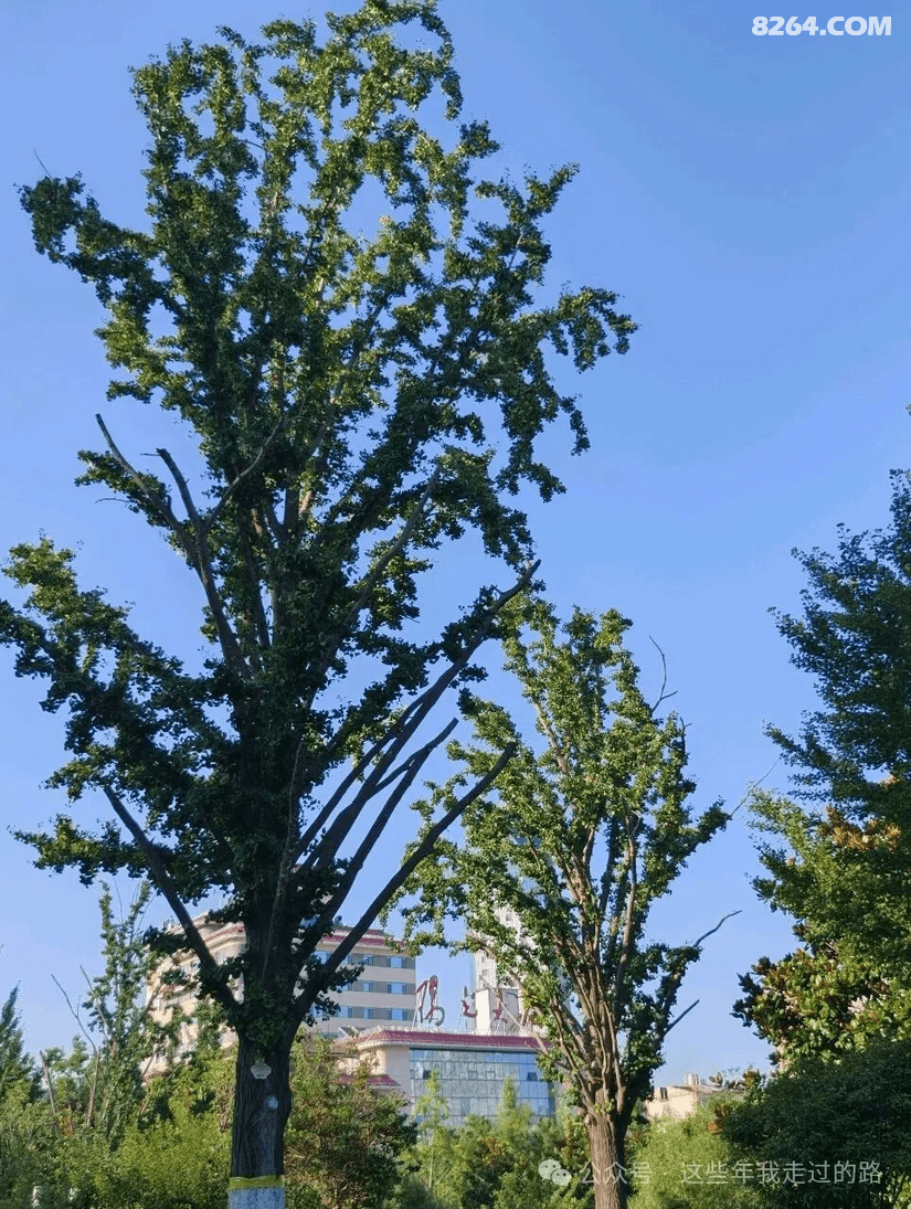 093928ba39js9axq1m9b64 - 旅行杂谈 文化历史 民俗人文 交通贴士 在野 去没有天花板的地方