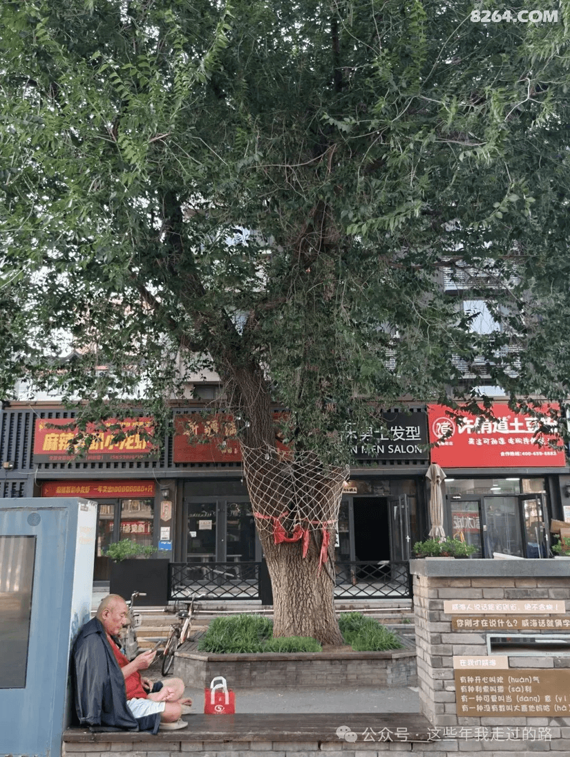 093945k9z7s1my087fxz6s - 旅行杂谈 文化历史 民俗人文 交通贴士 在野 去没有天花板的地方