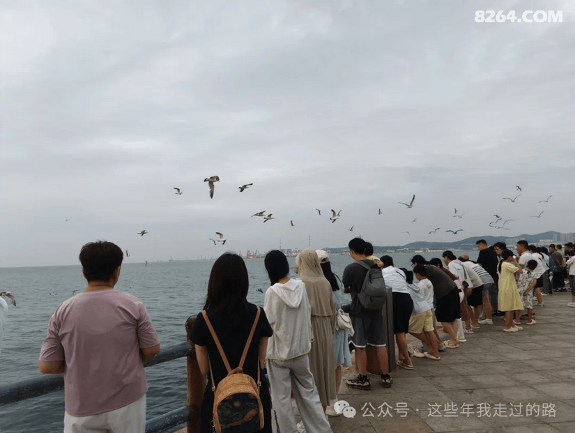 140940ri4qtlqto0pdtukv - 旅行杂谈 文化历史 民俗人文 交通贴士 在野 去没有天花板的地方
